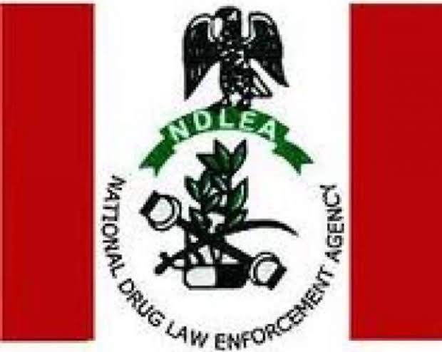 Ahead of 2023 elections, NDLEA proposes drug tests for all political aspirants