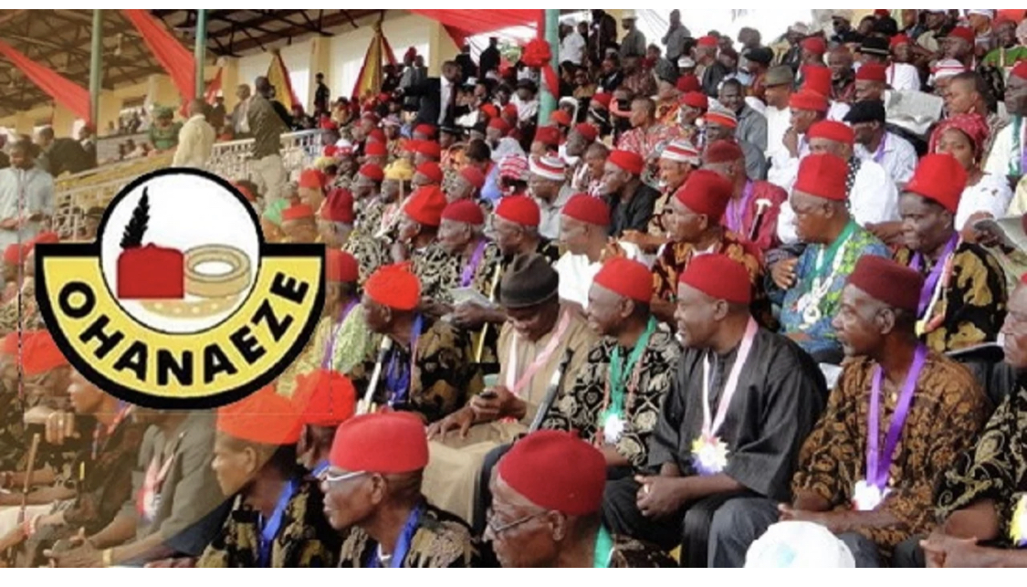 Presidential primaries: South-East governors real Igbo enemies – Ohanaeze
