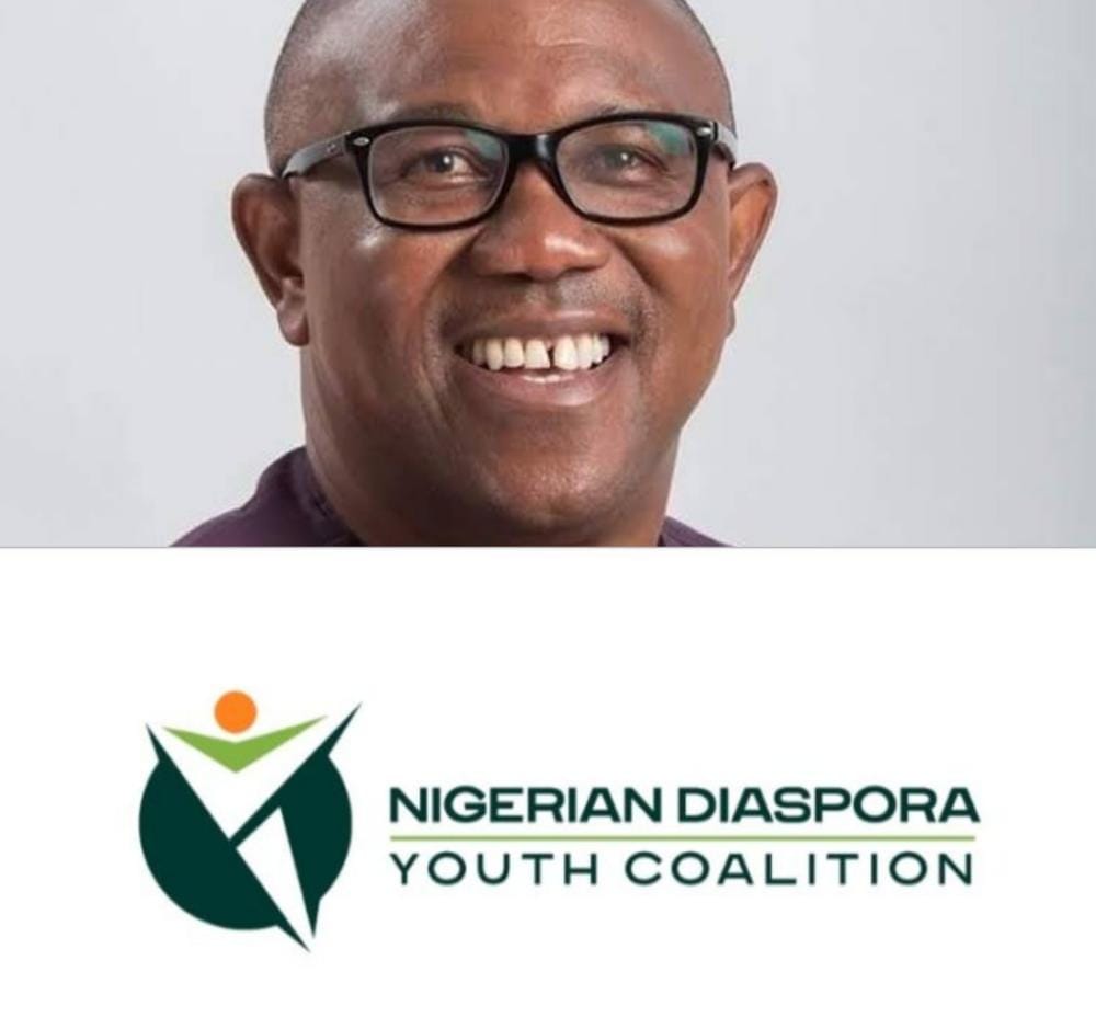 2023: Diaspora Coalition, NDYC, Backs Peter Obi’s Presidential Bid