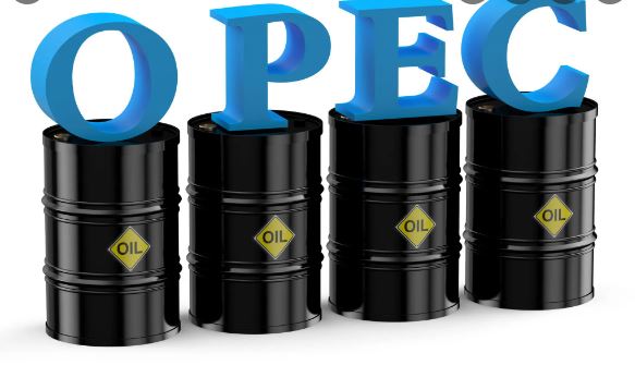OPEC not expecting oil market conditions to ease into 2023
