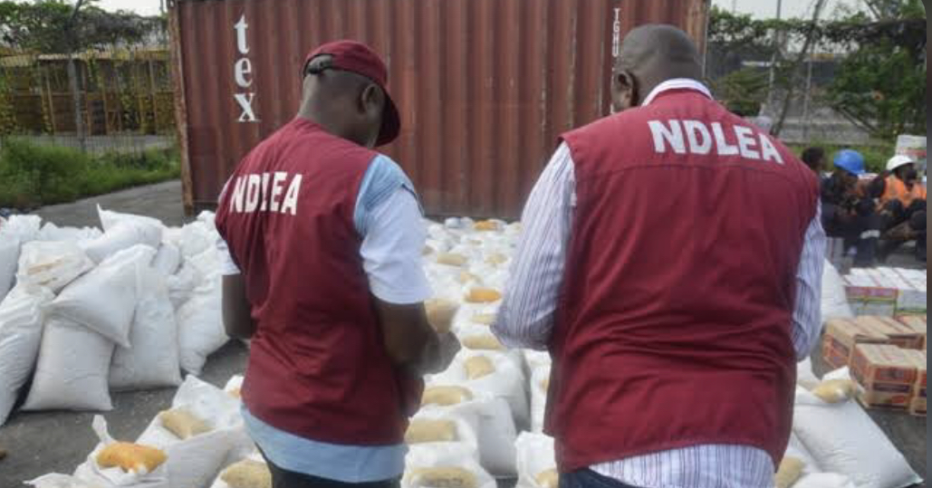 NDLEA arrests 611 drug traffickers in Kaduna